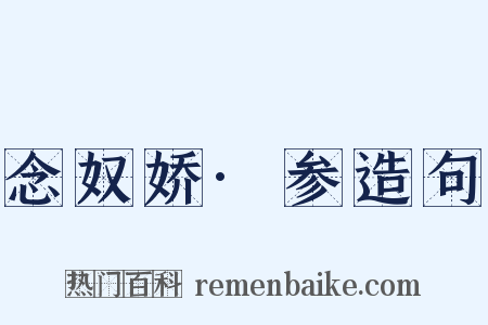 念奴娇·参造句是什么意思的图片